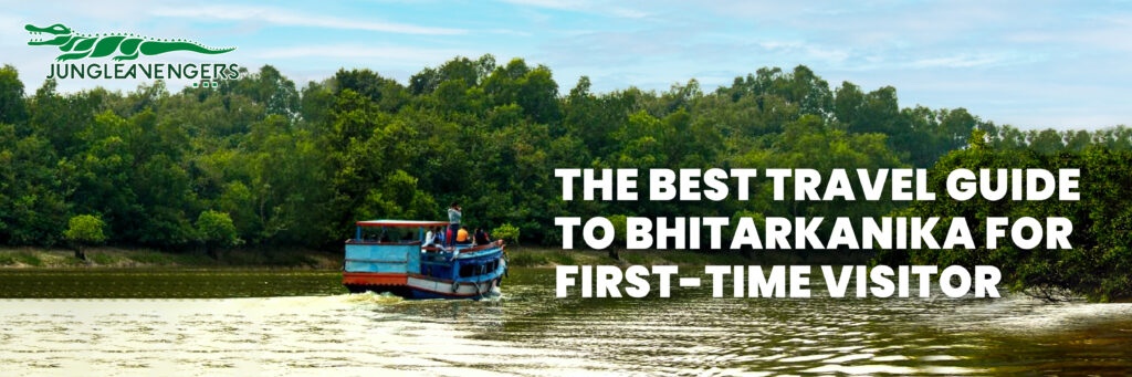 The Best Travel Guide to Bhitarkanika for First-Time Visitor