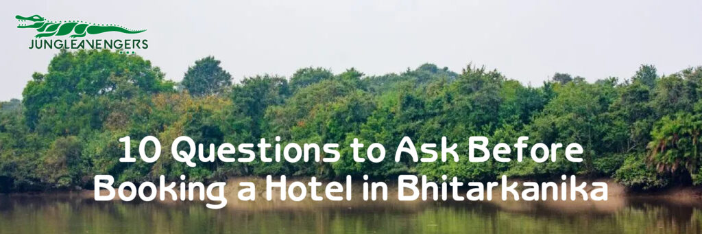 10 Questions to Ask Before Booking a Hotel in Bhitarkanika