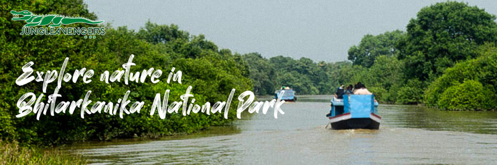 Explore Nature in Bhitarkanika National Park