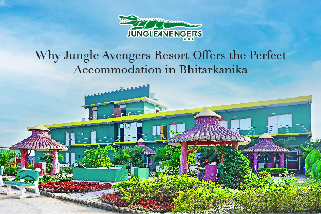 Accommodation in Bhitarkanika
