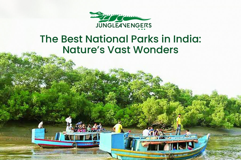 Bhitarkanika National Park