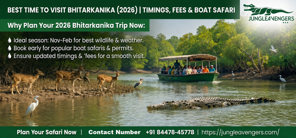 best time to visit Bhitarkanika