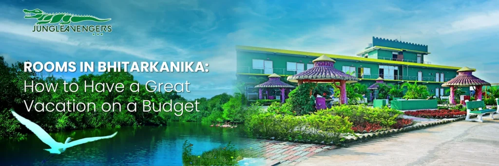 Rooms in Bhitarkanika