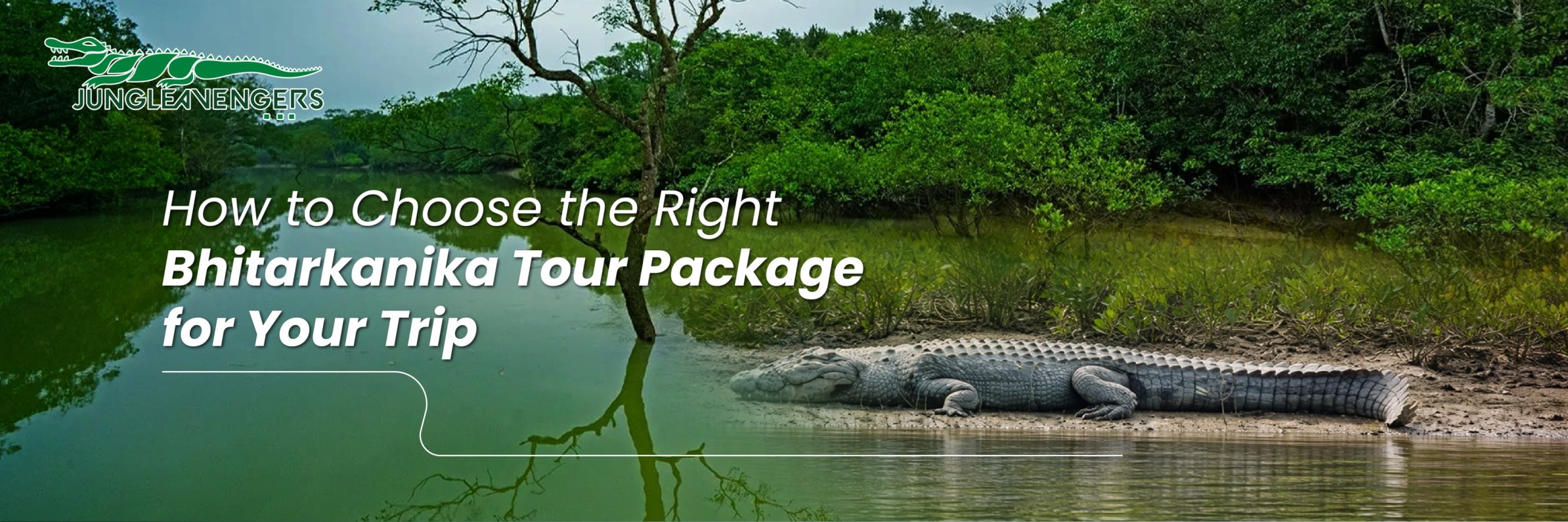 Bhitarkanika tour package