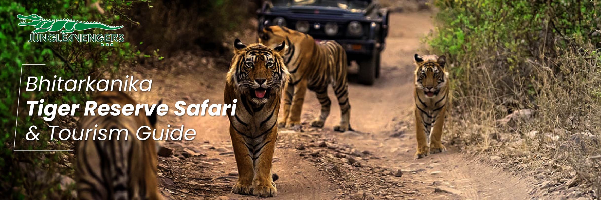 Bhitarkanika Tiger Reserve