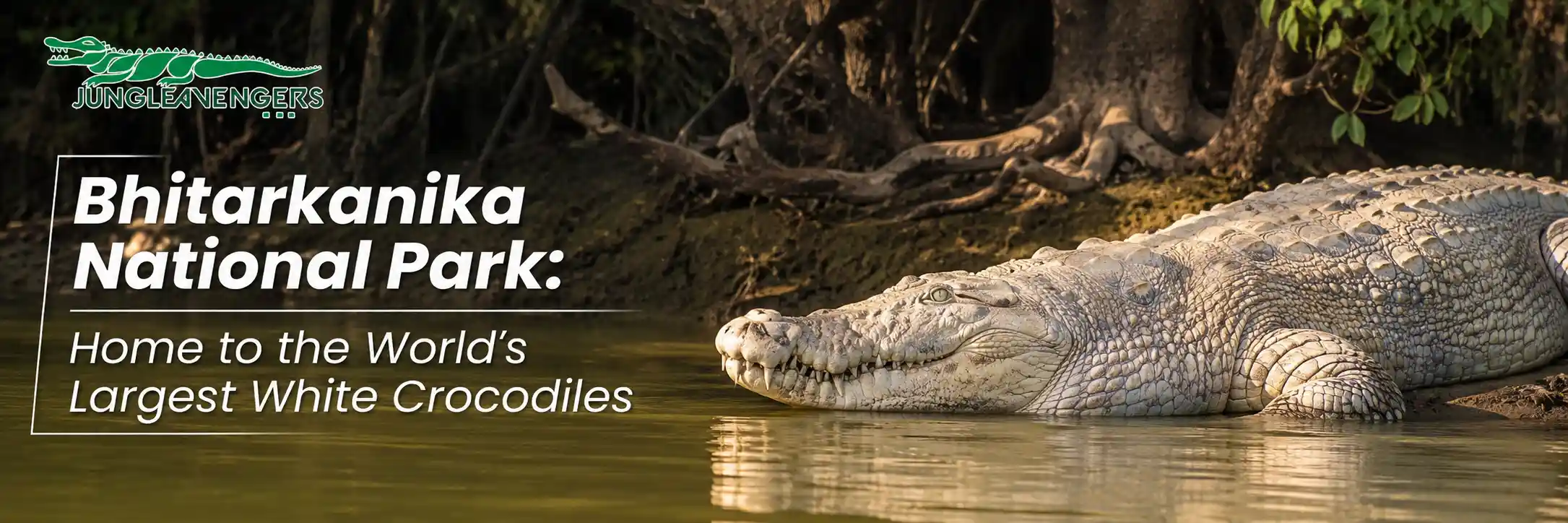 Bhitarkanika National Park